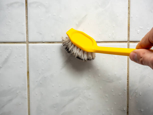 Best Fast Mold Removal  in Redondo Beach, CA